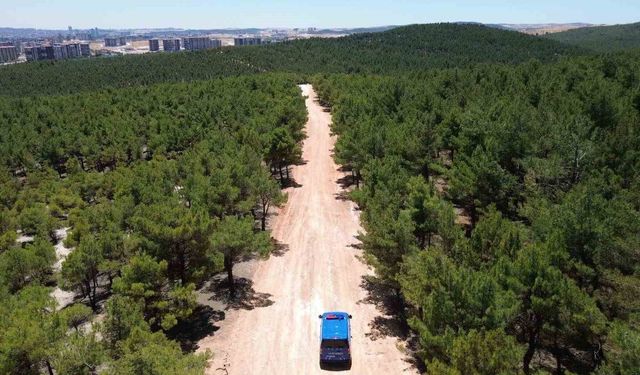 Jandarmadan orman yangınlarına karşı dron destekli devriye
