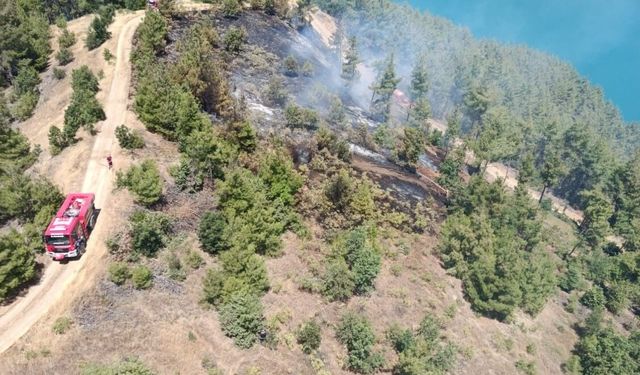 Kahramanmaraş'ta orman yangını