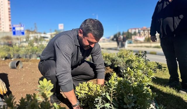 Karabük'te yeşil alanlar 18 binden fazla fidanla güçleniyor