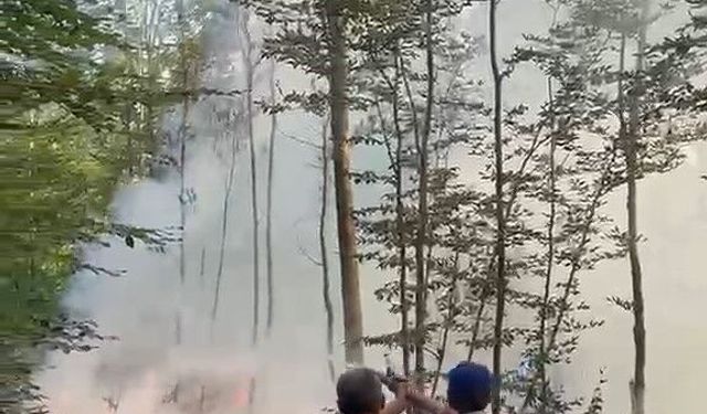 Karacabey'de orman yangını