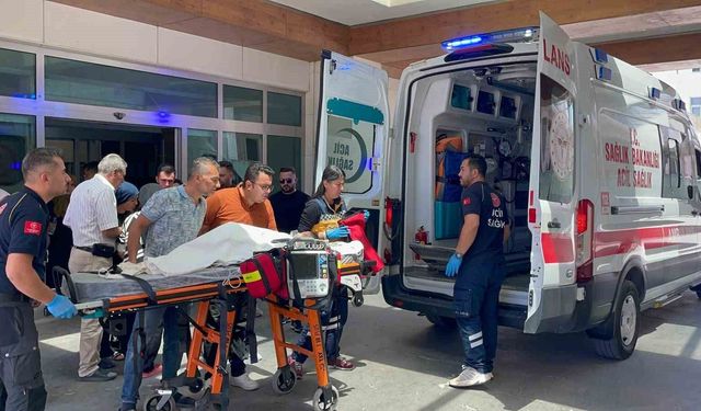 Karaman'da köpek dehşeti: 3 yaşındaki çocuk ağır yaralandı