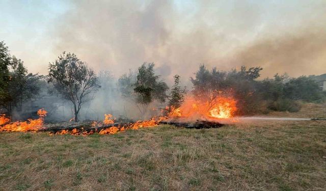 Köyceğiz ilçesindeki ot yangını söndürüldü