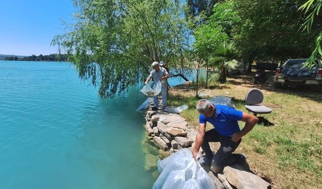 Manavgat'ta 400 bin balık yavrusu baraj gölünde bırakıldı