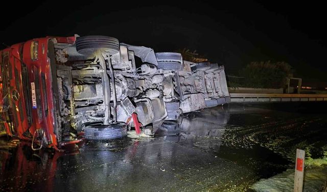 Mardin'de bitkisel yağ yüklü kamyonet devrildi
