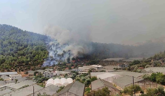 Mersin'de alevlerin yerleşim yerlerine sirayet etmemesi için ekipler yoğun çaba harcıyor