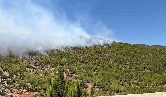 Mersin'deki orman yangınına havadan ve karadan yoğun müdahale