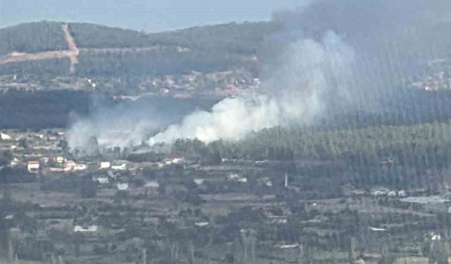 Muğla Menteşe'de orman yangını