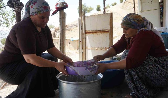 Nesillerin ikinci kez tanıklık ettiği 'kudret helvası' bolluğu yöre halkını sevince boğdu: 'Bu Allah'ın nimeti, Mezopotamya'nın eşsiz hazinesi'