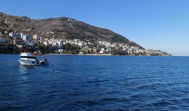 Ordu'da denize girmek 2 gün süreyle yasaklandı