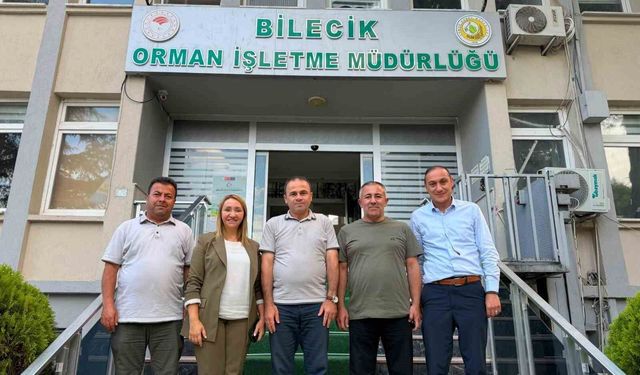 Orman yangınlarına karşı kritik mesai