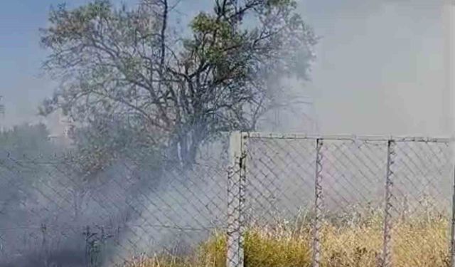 Siirt'te evin bahçesinde çıkan yangında meyve ağaçları kül oldu