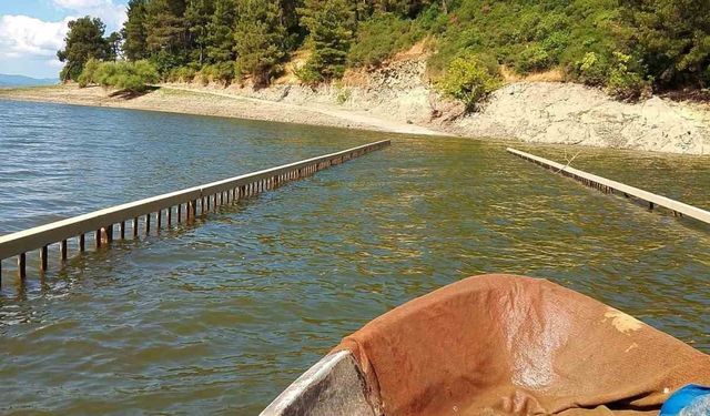 Sular çekildi, Haydaroba Köprüsü gün yüzüne çıktı
