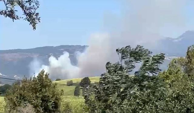 Susurluk'ta çıkan yangına havadan müdahale ediliyor