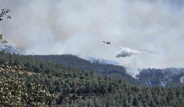 Susurluk'ta orman yangını büyüyor