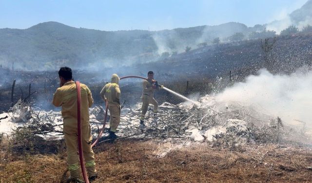 Tarla temizliği için yakılan ateş ormanlık alana sıçradı