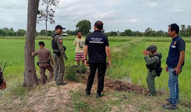 Tayland'da evcil köpek, eve el bombası getirdi