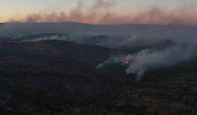 Tıfıllar Köyü'ndeki yangının boyutu gün ağırınca ortaya çıktı