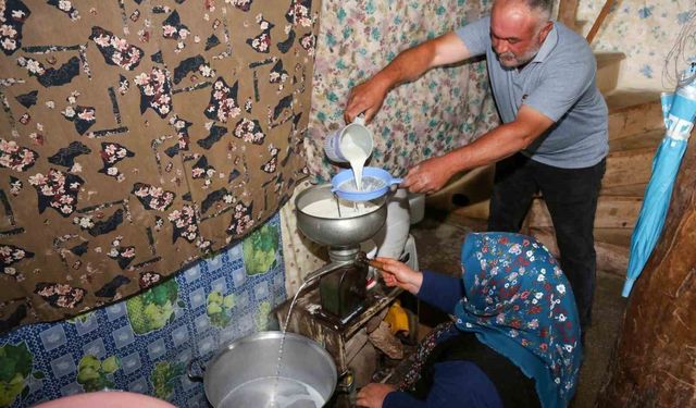Tuluk peynirleri mağaraya dinlenmeye bırakıldı