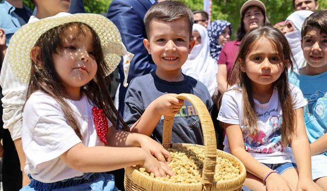 Ulukale dutunda bu yıl 650 ton rekolte beklentisi