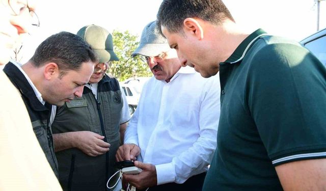 Vali Toraman, Biga'daki yangını yerinde inceledi