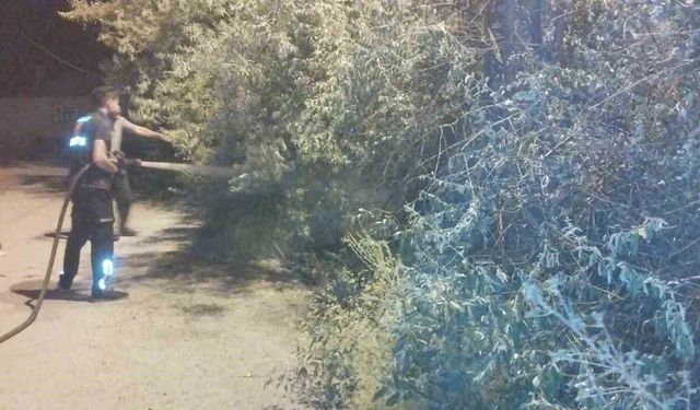 Van'da bahçe yangını korkuttu