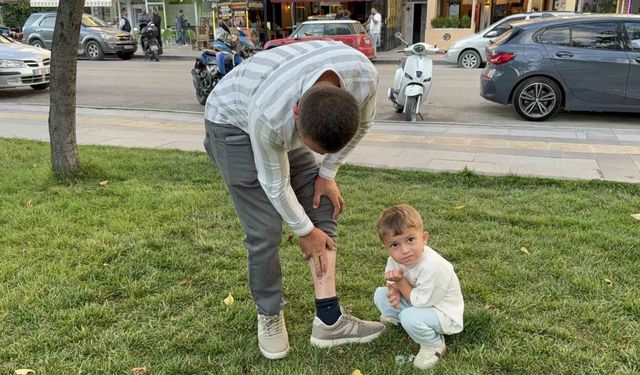 Vücuduna tutunan kene ile yüzük takma merasimine katılan besici, tehlikeyi hiçe sayarak 'Keneyi besiye aldık' dedi