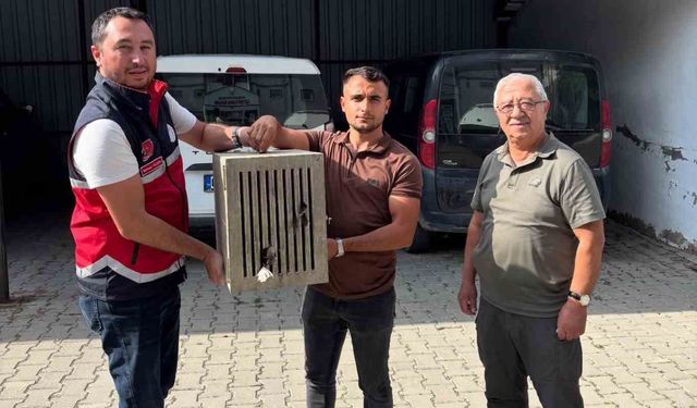 Yaralı halde bulunan leylek, koruma altına alındı