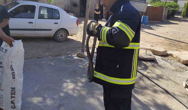 Yatak odasında çığlık attıran görüntü