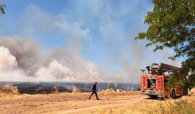 Yerköy'de yaklaşık 100 dekar alan kontrollü olarak yakıldı