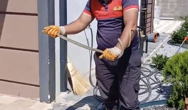 Yozgat'ta evin bahçesine giren yılan doğaya bırakıldı