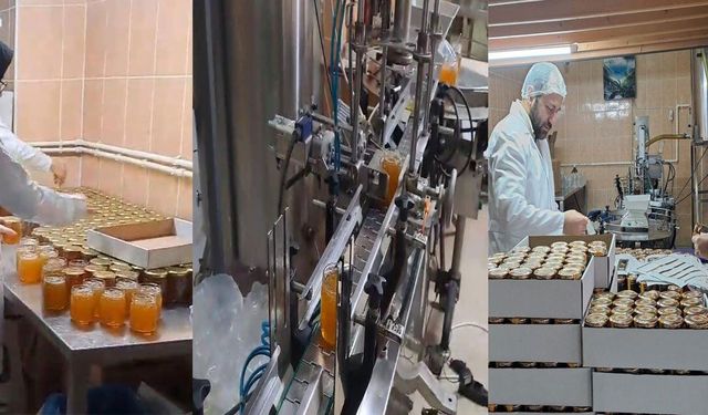 Rize'de 7 bin liralık tescilli bal sadece bu tesiste kavanozlanıyor