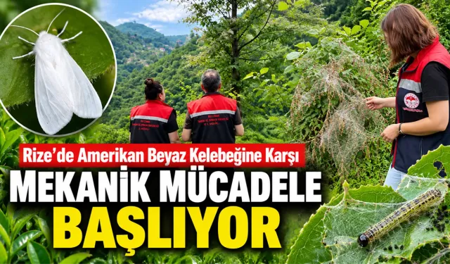 Amerikan Beyaz Kelebeğine Karşı Mekanik Mücadele Başlıyor