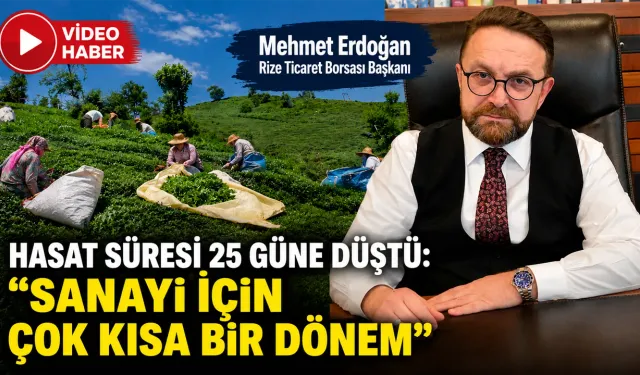 RTB Başkanı Erdoğan: Çay Hasadını Zamana Yaymalıyız