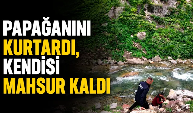 Papağanını kurtardı, kendisi mahsur kaldı