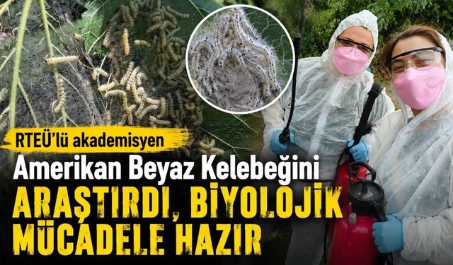 RTEÜ’lü akademisyen Amerikan Beyaz Kelebeğini araştırdı