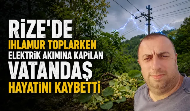 Ihlamur toplarken elektriğe kapılan vatandaş hayatını kaybetti