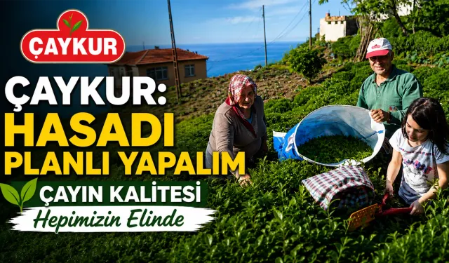 ÇAYKUR: Çayın Kalitesi Hepimizin Elinde
