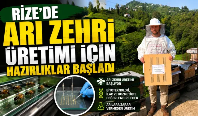 Rize’de arı zehri üretilecek, sistem hazırlanıyor