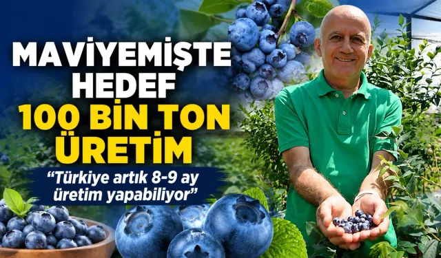 Maviyemişte Hedef 100 Bin Ton, Türkiye 8-9 Ay Üretebiliyor