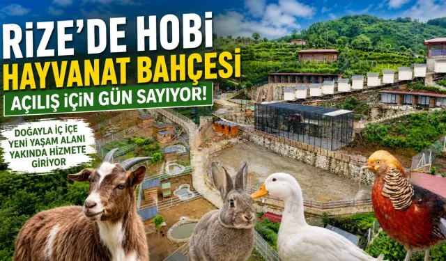 Rize'de Hobi Hayvanat Bahçesi Açılış İçin Gün Sayıyor