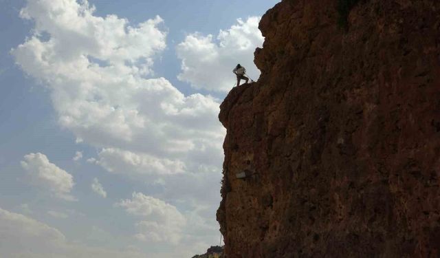 600 metre yüksekliğinde sınırları aşan hasat: Gercüş'ün cesur arıcısı iş başında