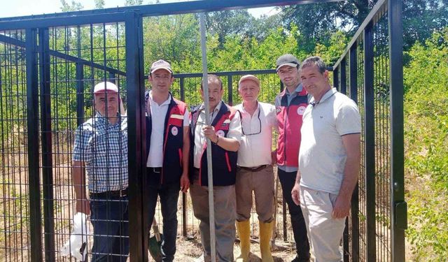 Afyonkarahisar'da süne zararlısının takibi için Erken Uyarı İstasyonu kuruldu