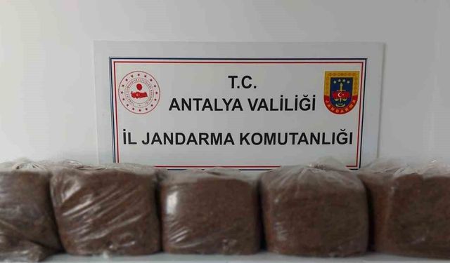 Alanya ve Demre'de 285 kilo kaçak tütün ele geçirildi