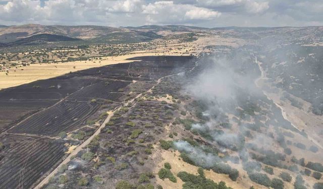 Ankara'da arazi yangını