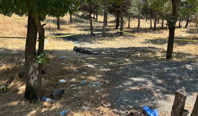Ankara'daki kadın cinayetinin alacak-verecek meselesi nedeniyle işlendiği iddiası