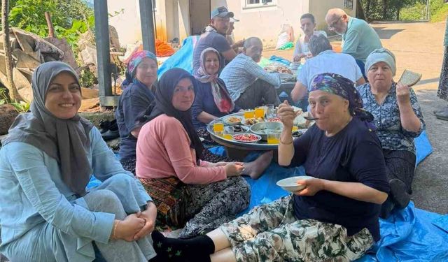 Apar topar İstanbul'a gittiler, yarım kalan fındık hasadını köylüler tamamladı