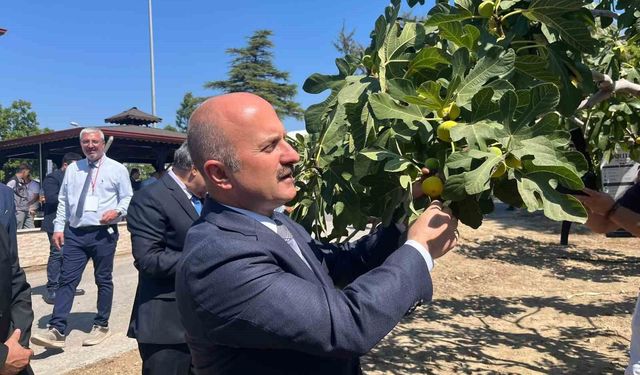 Aydın'a 100 milyonluk yatırım