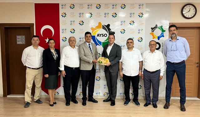 AYSO'dan incirde aflatoksin riskine karşı firmalara güçlü hamle: İncir ihracatında kayıpların önüne geçilecek