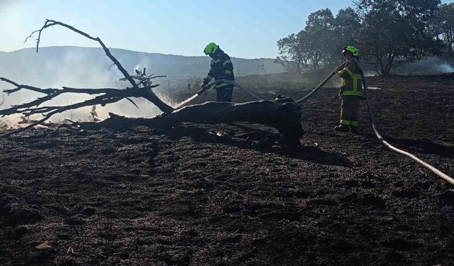 Balıkesir İtfaiyesi temmuz ayında bin 521 olaya müdahale etti
