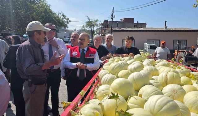 Balıkesir'de ata tohumuyla yetiştirilen beyaz kavunun hasadı başladı